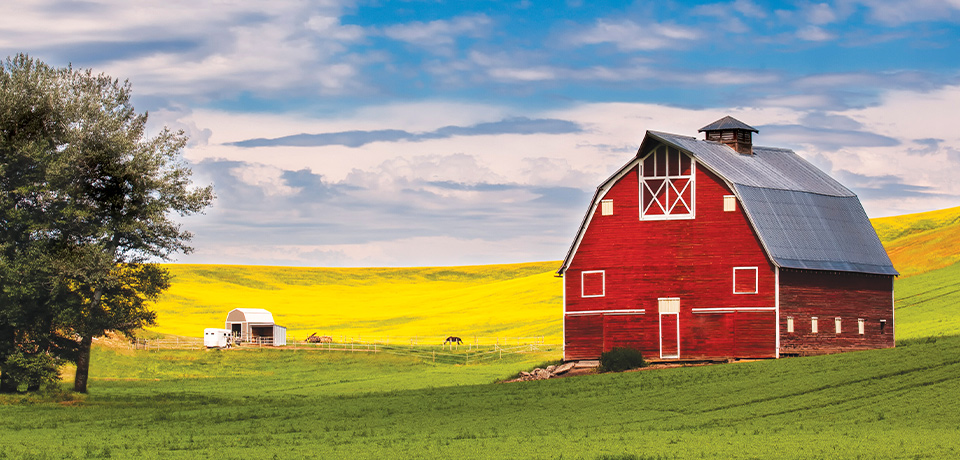 Boost Livestock With CO OP WHOLE EARTH FEEDS