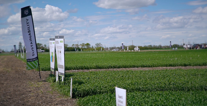 Three Field Trials Were Excited About In 2018